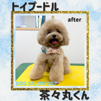 画像4525
