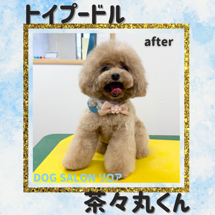 画像4525