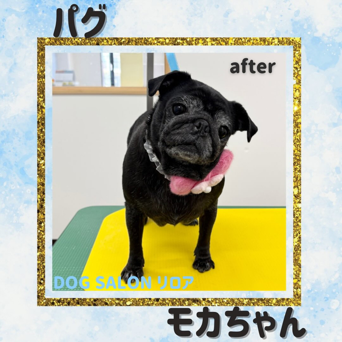 画像4547