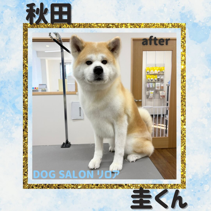 画像4554