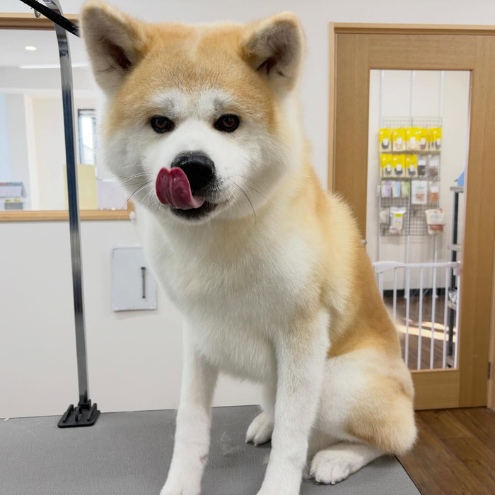 画像4556