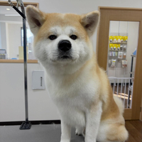 画像4557