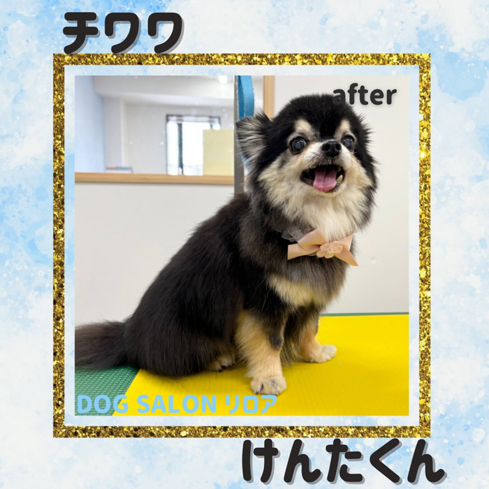 画像4570