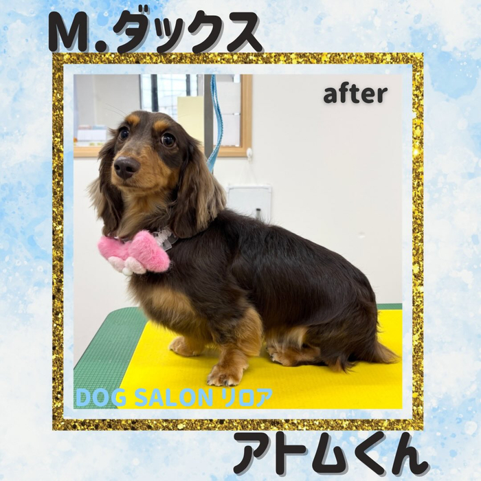 画像4578