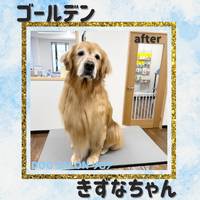 画像4613