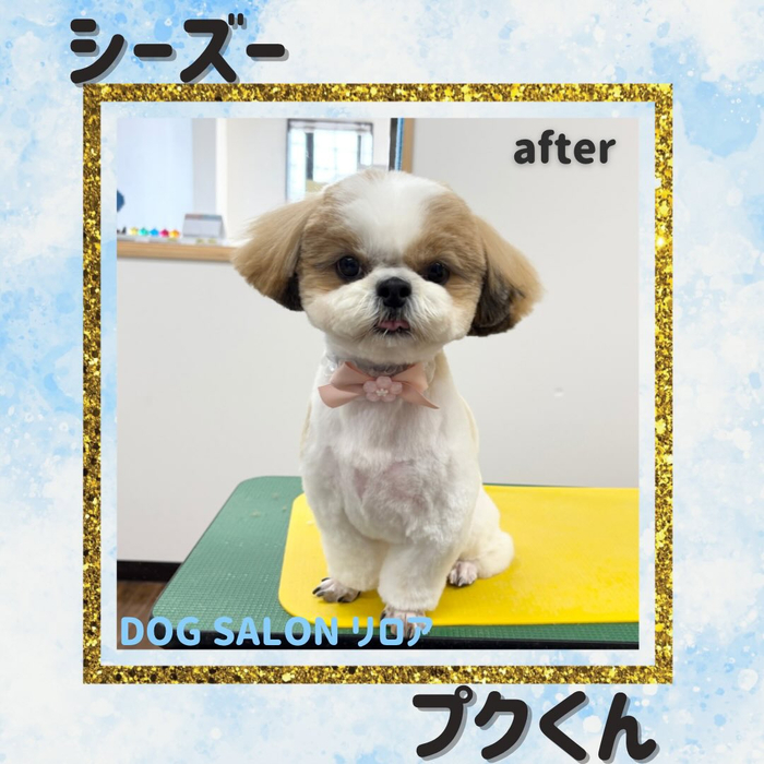 画像4674