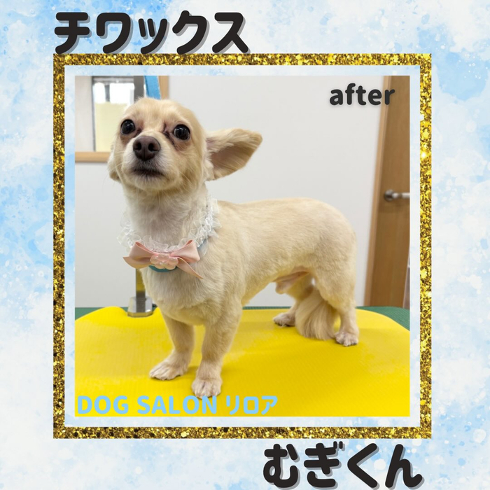 画像4682