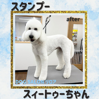 画像4698
