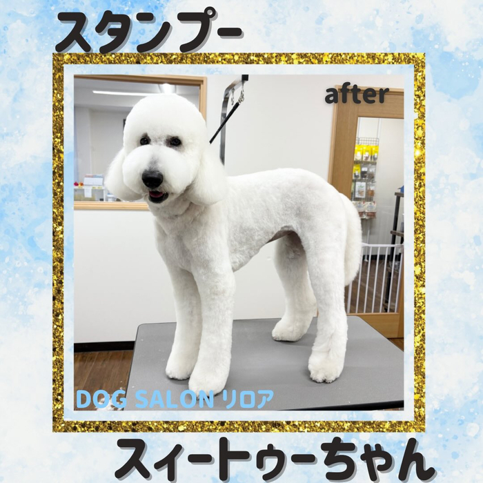 画像4698