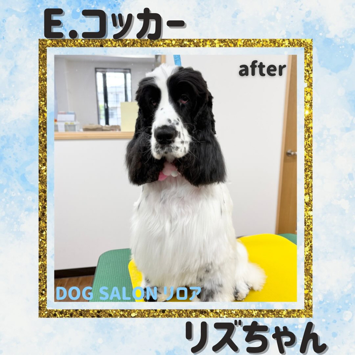 画像4727