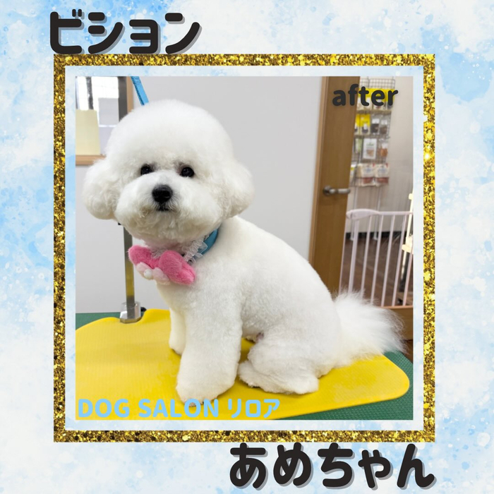 画像4756