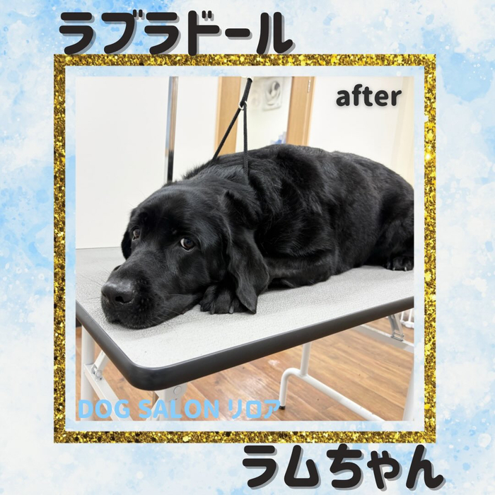 画像4770