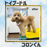 画像4777