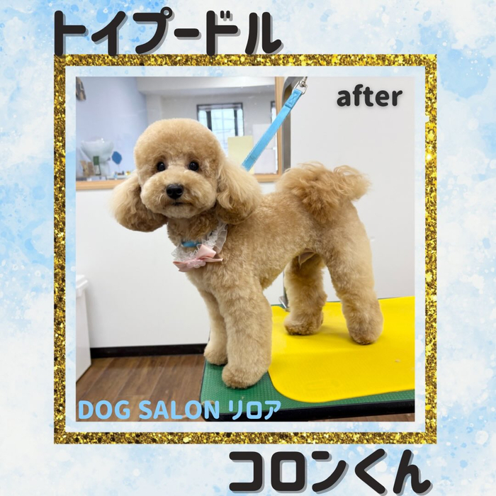 画像4777