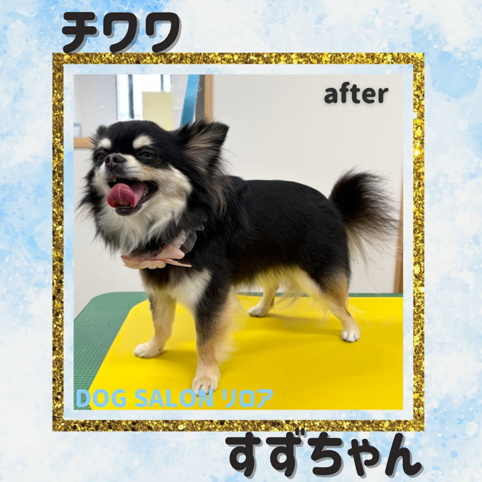 画像4791
