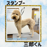 画像4799