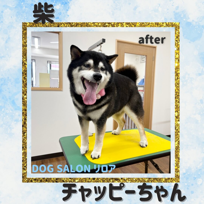 画像4820