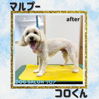 画像4827