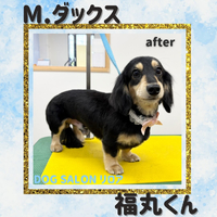 画像4834