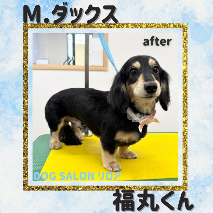 画像4834