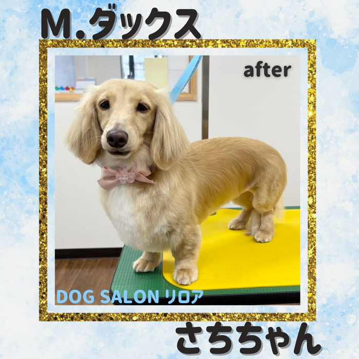 画像4841