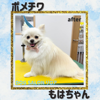 画像4856