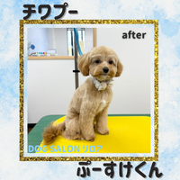 画像4863