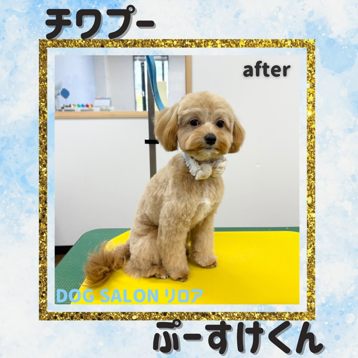 画像4863