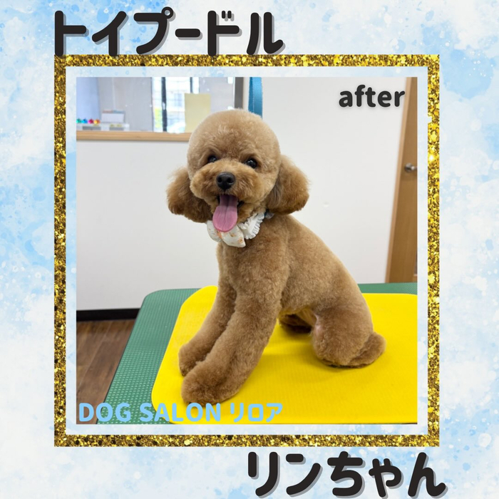 画像4878