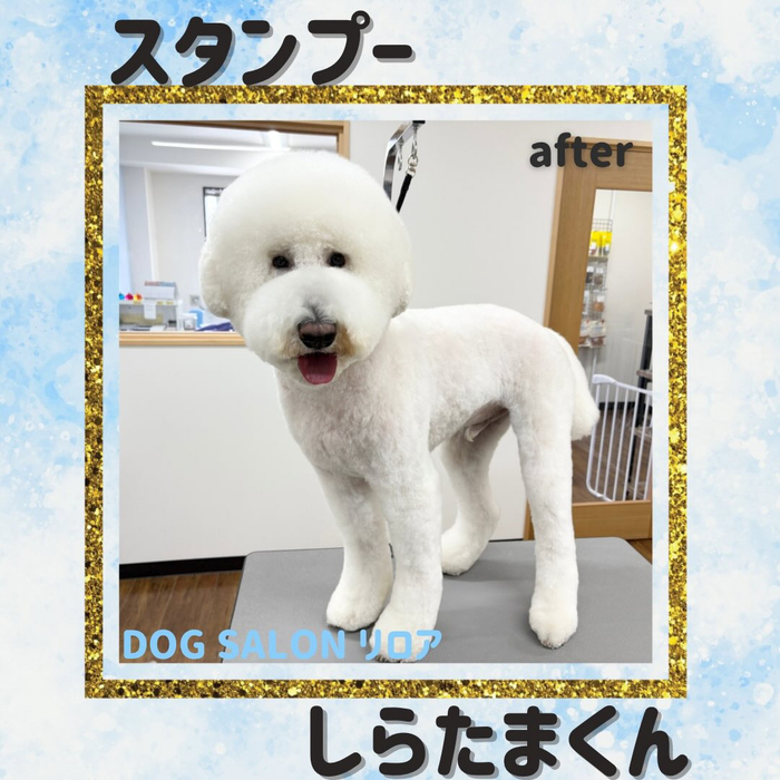 画像4887