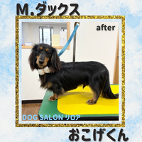 画像4916