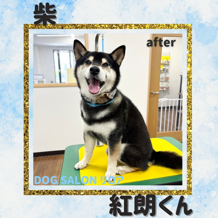 画像4975