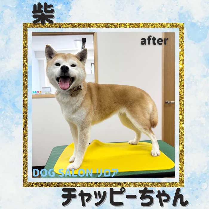 画像4989