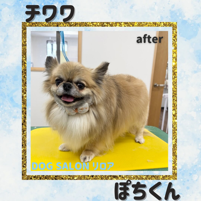 画像5018