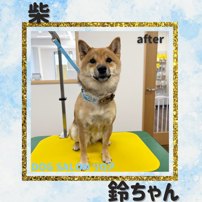 画像5039