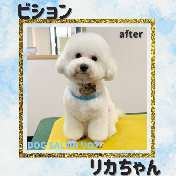 画像5047