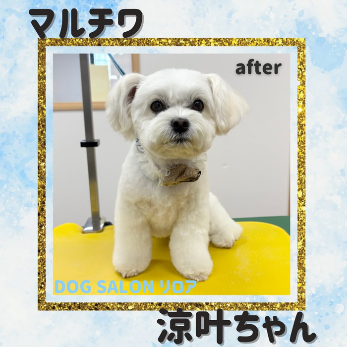 画像5054