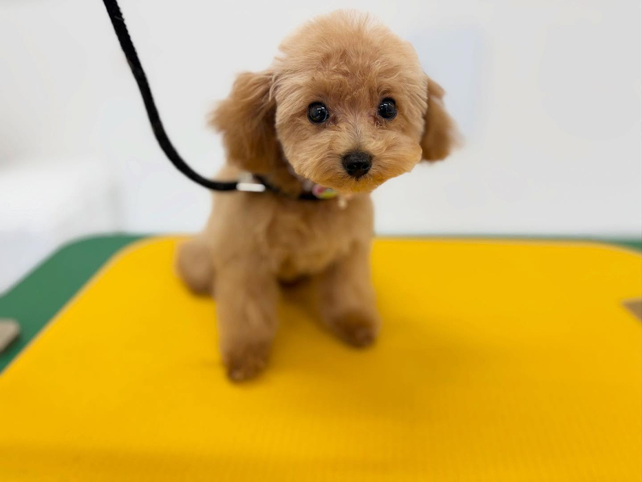 画像506