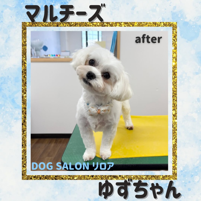 画像5070