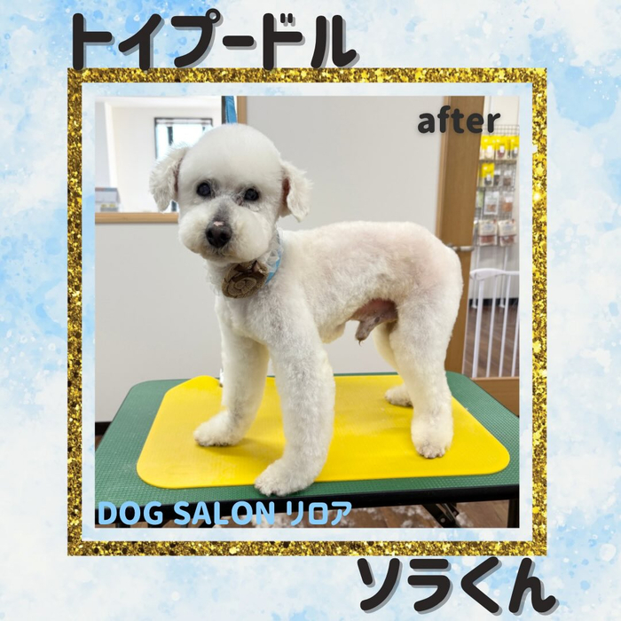 画像5100