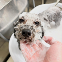 画像5170