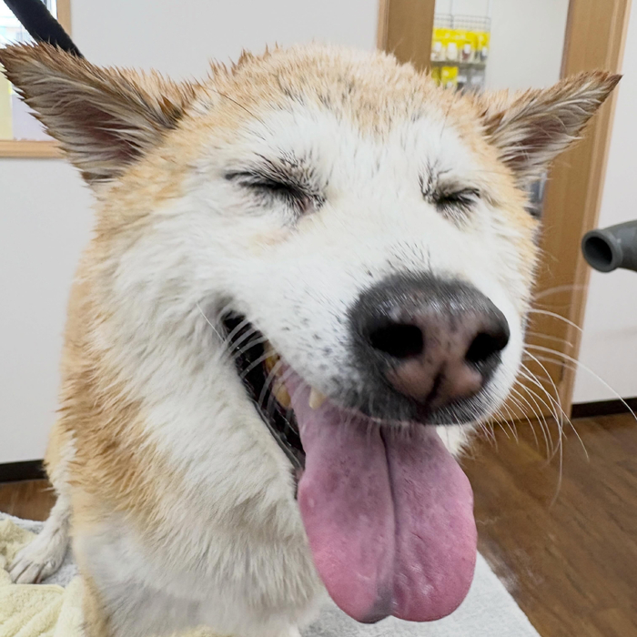画像5235