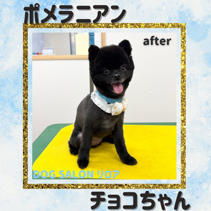 画像5247