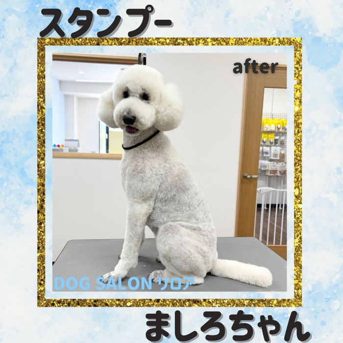 画像5263