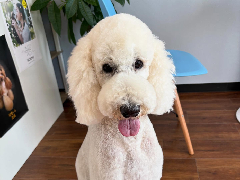 画像529