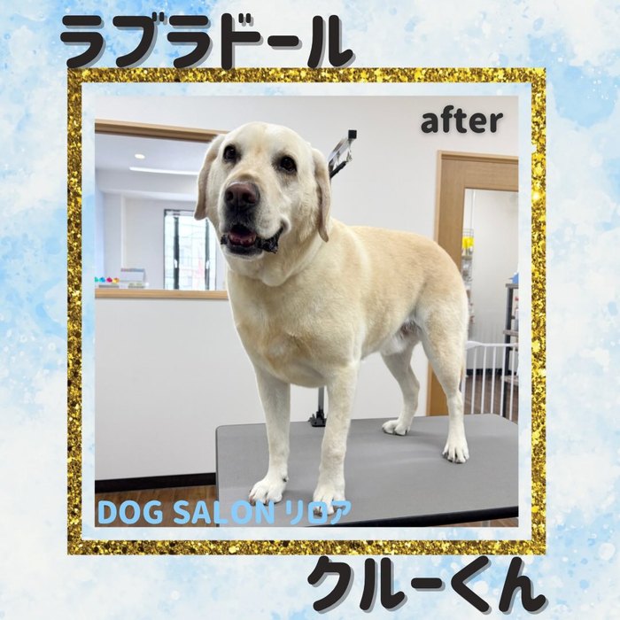 画像5306
