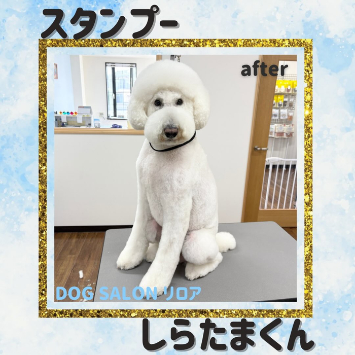 画像5320
