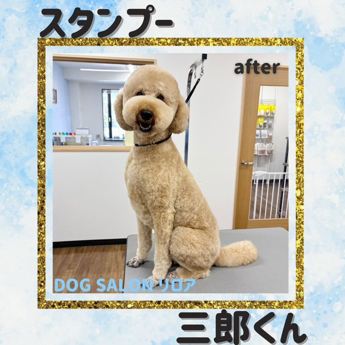 画像5327