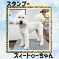 画像5351