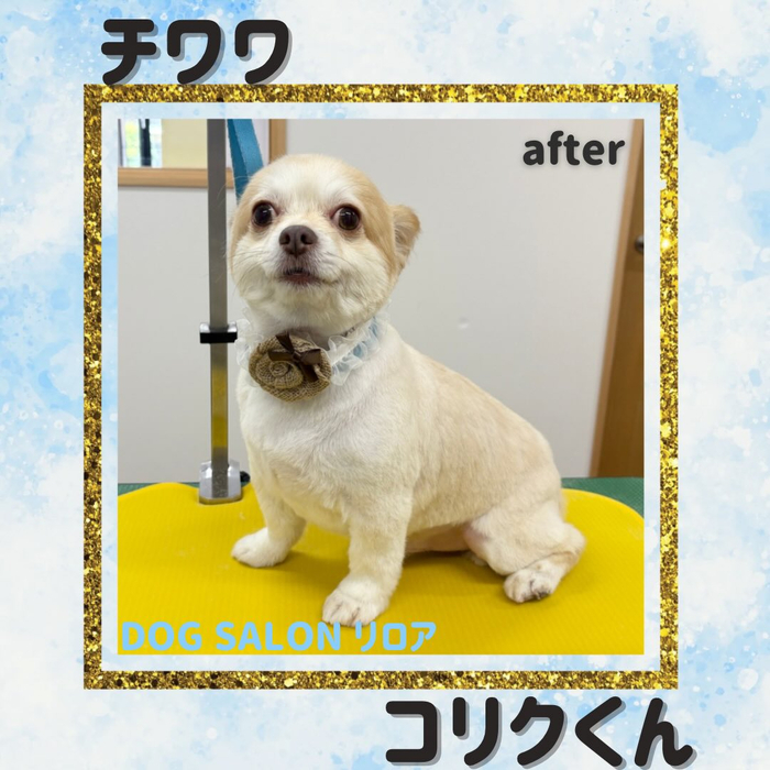 画像5384